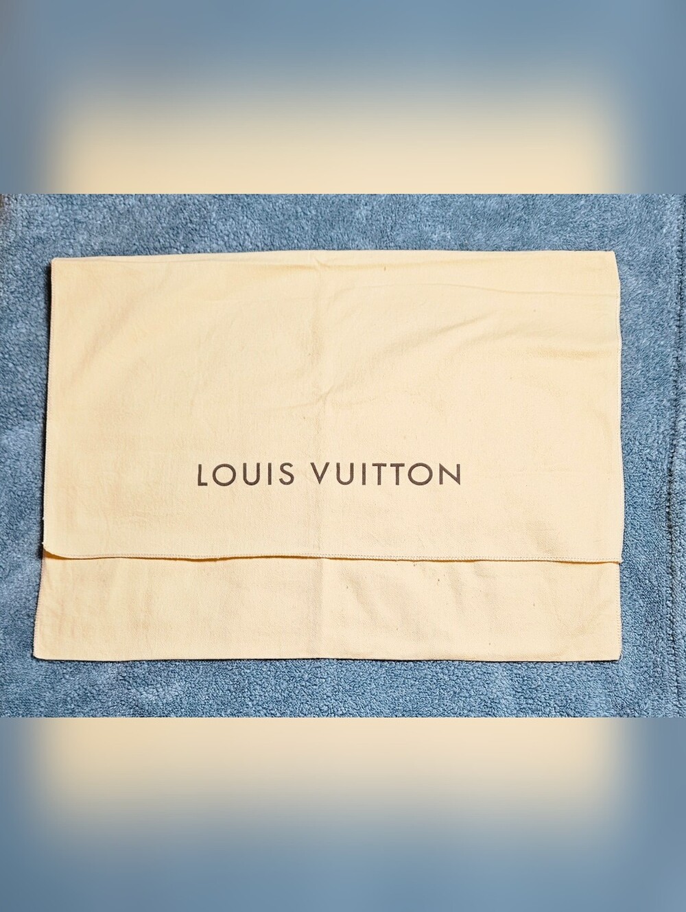 Louis Vuitton Large Envelope Dust Bag Neverfull Speedy OnTheGo CarryAll Keepall